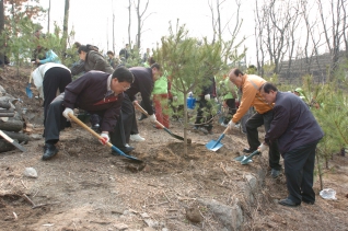 2005년 나무심기 행사 대표이미지