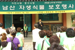 자연보호협의회 남산 공원 외래풀뽑기 행사 참석 대표이미지