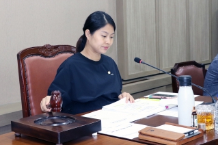 제295회 정례회 예산결산특별위원회 대표이미지