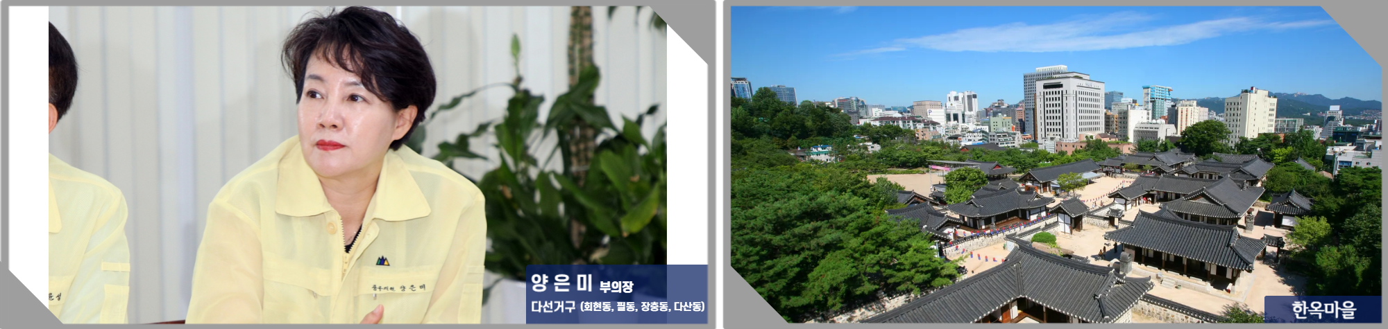 양은미 의원