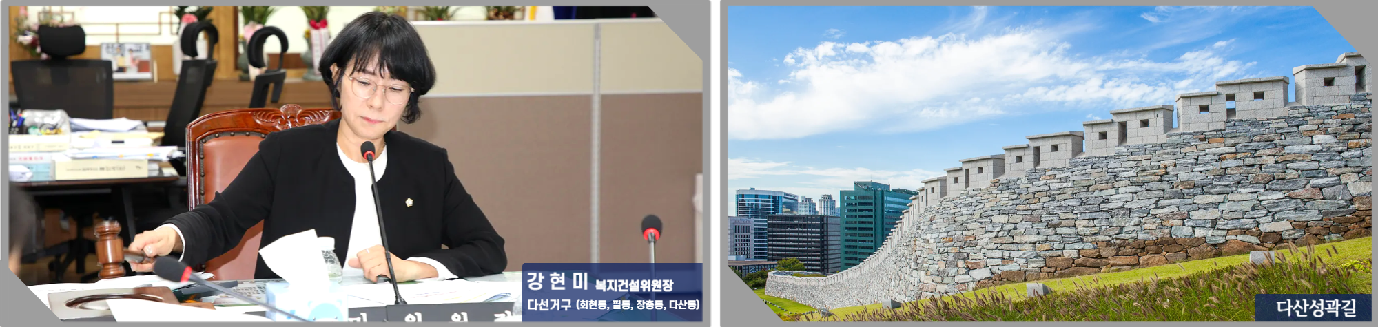 강현미 의원