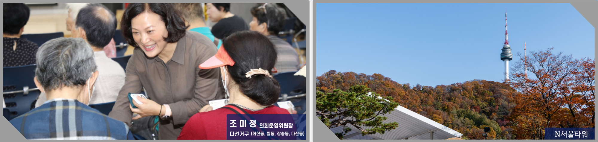 조미정 의원